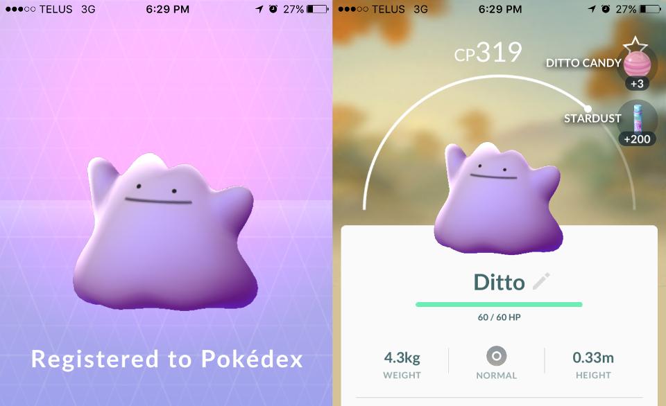 pokeyplay-com_ditto_pokemongo