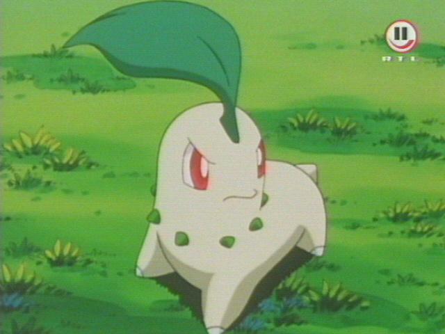 Escena - Chikorita