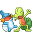 treeko y  mudkip