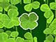 Juega gratis a Lucky Clover