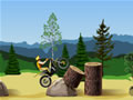 Juega gratis a Stunt Dirt Bike